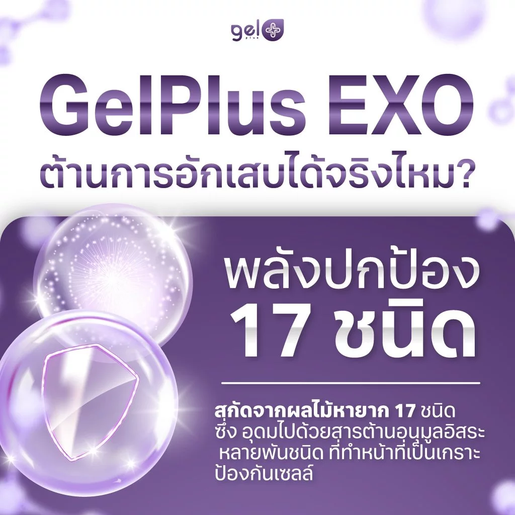 GelPlus EXO เจลพลัส เอ็กซ์โซ นวัตกรรมดูแลสุขภาพระดับเซลล์ thumbnail 7