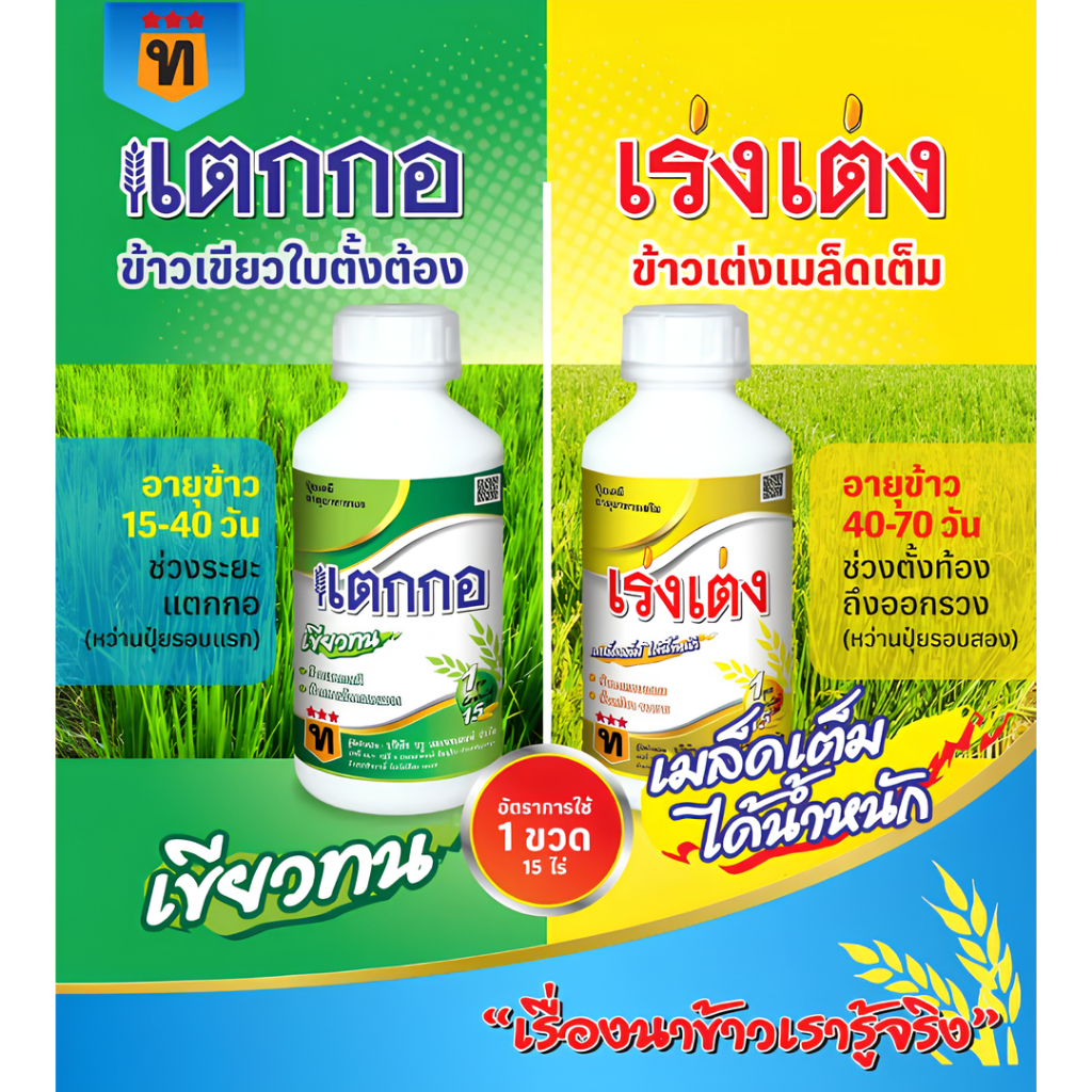 เร่งเต่ง แตกกอ ฮอร์โมน 15 ไร่ ใช้ในข้าว(แตกกอดี/เขียวทน/เขียวนาน)(เมล็ดเต็ม/ได้น้ำหนัก/ข้าวออกรวงเสมอ/ขั้วเหนียว/รวงยาว)