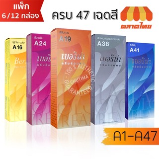 (ยกโหล 6/12 กล่อง)  เบอริน่า ครีมเปลี่ยนสีผม Berina Hair Color 60g.