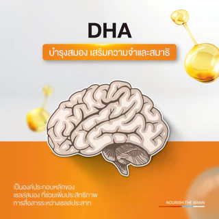 Maxxlife Fish Oil น้ำมันปลา โอเมก้า 3 ลดไขมันในเลือด บำรุงสมอง ระบบประสาท เพิ่มสมาธิ ขนาด 30 และ 90 เม็ด