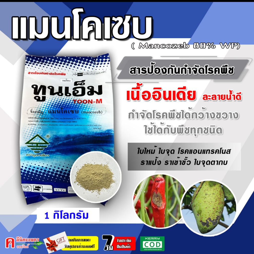 ทูนเอ็ม แมนโคเซบ (mancozeb)( 1Kg) สารป้องกันและกำจัดเชื้อรา โรคพืชต่าง ๆ ได้มากมาย