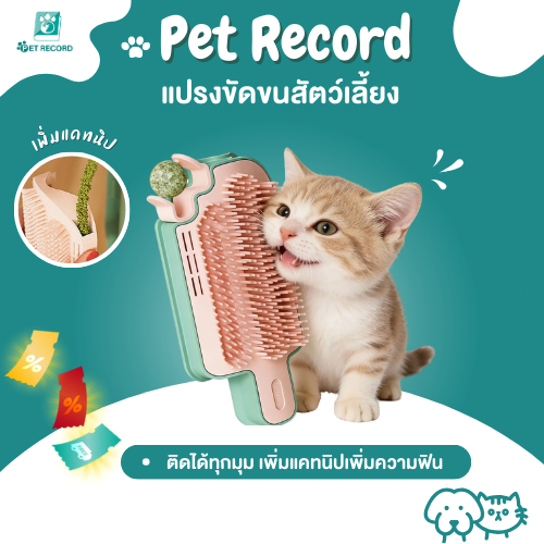 แปรงนวดแมวติดมุม ทรงไอศกรีม 🍦 เสริมขนนก/กัญชาแมว แก้เบื่อ คลายเครียด พร้อมส่ง 🐱หวี แปรงนวดแมว