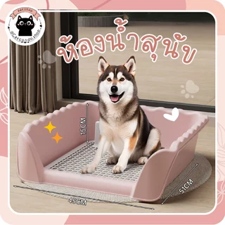 🌵 ถาดรองฉี่ ห้องน้ำหมา สุนัข แบบขอบสูง ถาดฉี่สุนัข (มีเสาถอดได้) มีตะแกรงรองถาด ถาดฝึกฉี่สุนัข 🌵