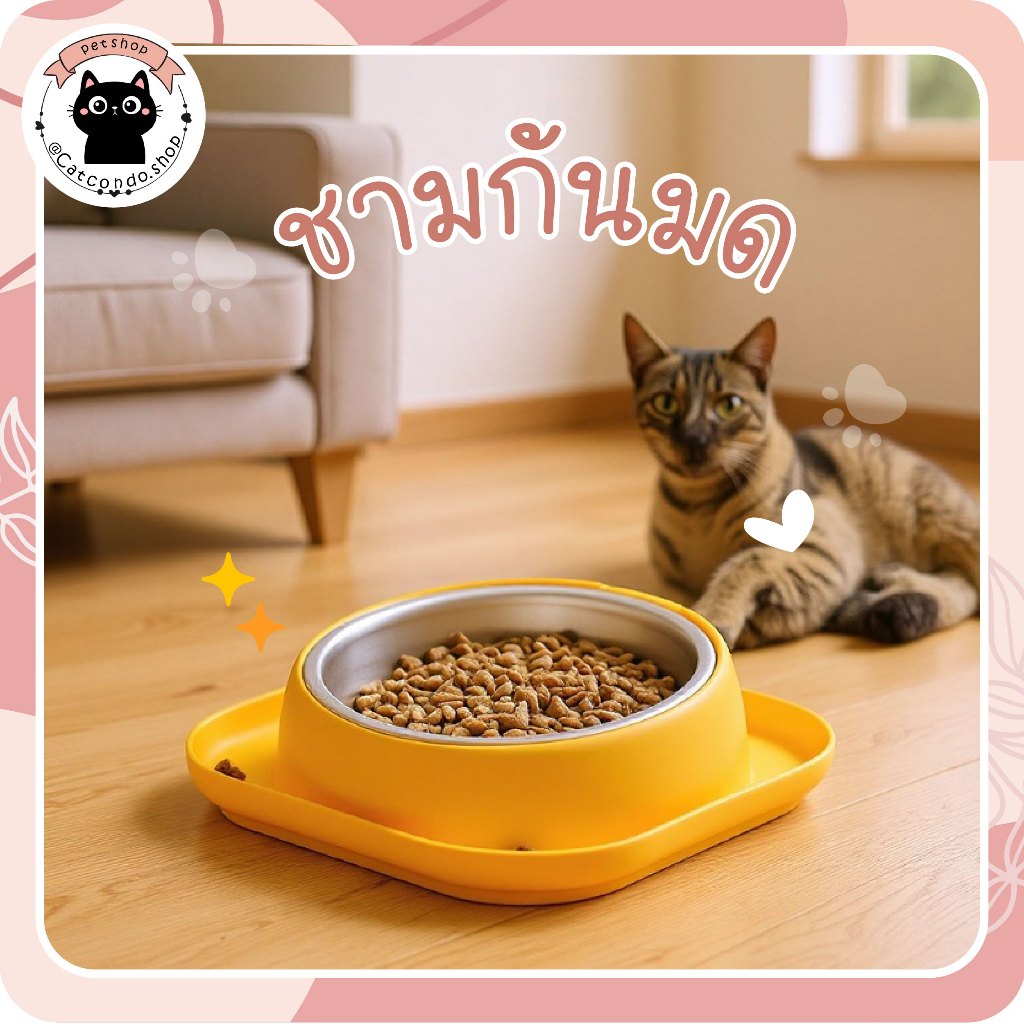🌵 ชามขอบกันหก ชามกันมด ชามขอบกันหก มีขอบใส่น้ำ กันมด ชามให้อาหารแมว ชามมอาหารสัตว์เลี้ยง ชามแมวยกสูง 🌵