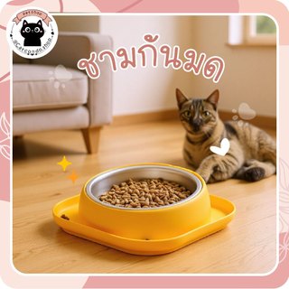 🌵 ชามขอบกันหก ชามกันมด ชามขอบกันหก มีขอบใส่น้ำ กันมด ชามให้อาหารแมว ชามมอาหารสัตว์เลี้ยง ชามแมวยกสูง 🌵
