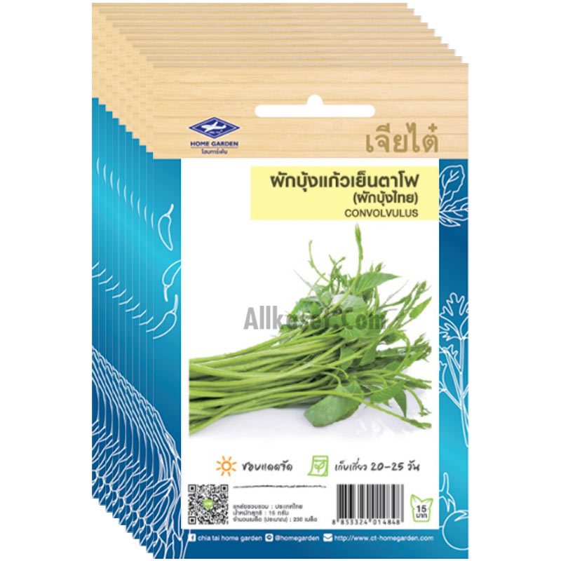เมล็ดพันธุ์ ผักบุ้งแก้ว เย็นตาโฟ ยกห่อ (10 ซอง) ราคาส่ง