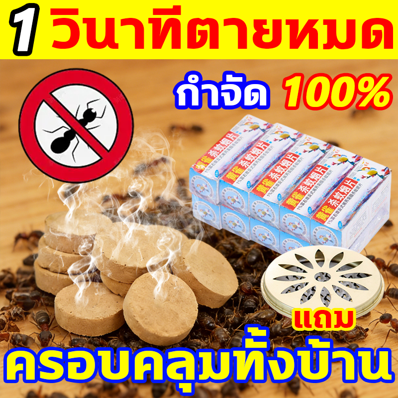 ศัตรูพืชไม่มีที่หลบซ่อน! ยาฆ่ามด 1 กล่องมี 10 แผ่น สั่ง1ได้3 แถมถาด ยาฆ่าปลวก กำจัดมด กำจัดปลวก ยากำจัดมด ยาฆ่าแมลง