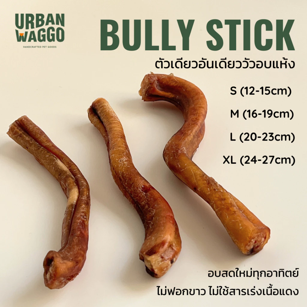 Bully Stick ตัวเดียวอันเดียววัวอบแห้ง จู๋วัว ขนมขัดฟัน ขนมสุนัข ขนมน้องหมา Urban Waggo