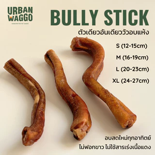 Bully Stick ตัวเดียวอันเดียววัวอบแห้ง จู๋วัว ขนมขัดฟัน ขนมสุนัข ขนมน้องหมา Urban Waggo