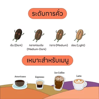 Frank's : เมล็ดกาแฟคั่วกลางเข้ม บลาซิล ซานโต้ส Brazil Santos เกรดพรีเมี่ยม 200g.-1kg.(Single Origin)
