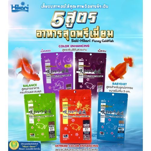 Saki Hikari Fancy Goldfish อาหารปลาทองสูตรพรีเมี่ยมสูตรเร่งสีเร่งวุ้ยช่วยให้เจริญเติมโตอย่างสมบูรณ์