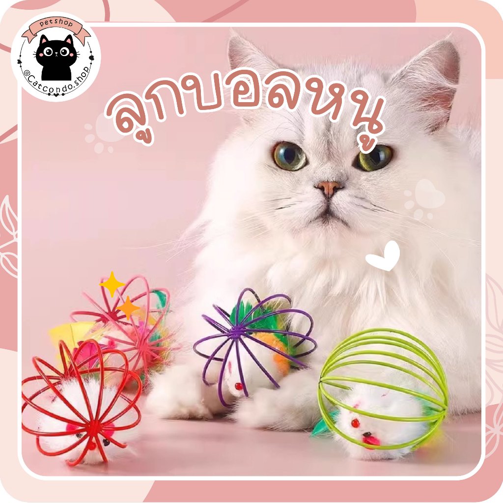 🌵 บอลกรงหนู บอลของเล่นแมว ( คละสี ) ของเล่นแมว แสนสนุก ให้วิ่งไล่จับ เหมือนเป็นการออกกำลังกายไปในตัว 🌵