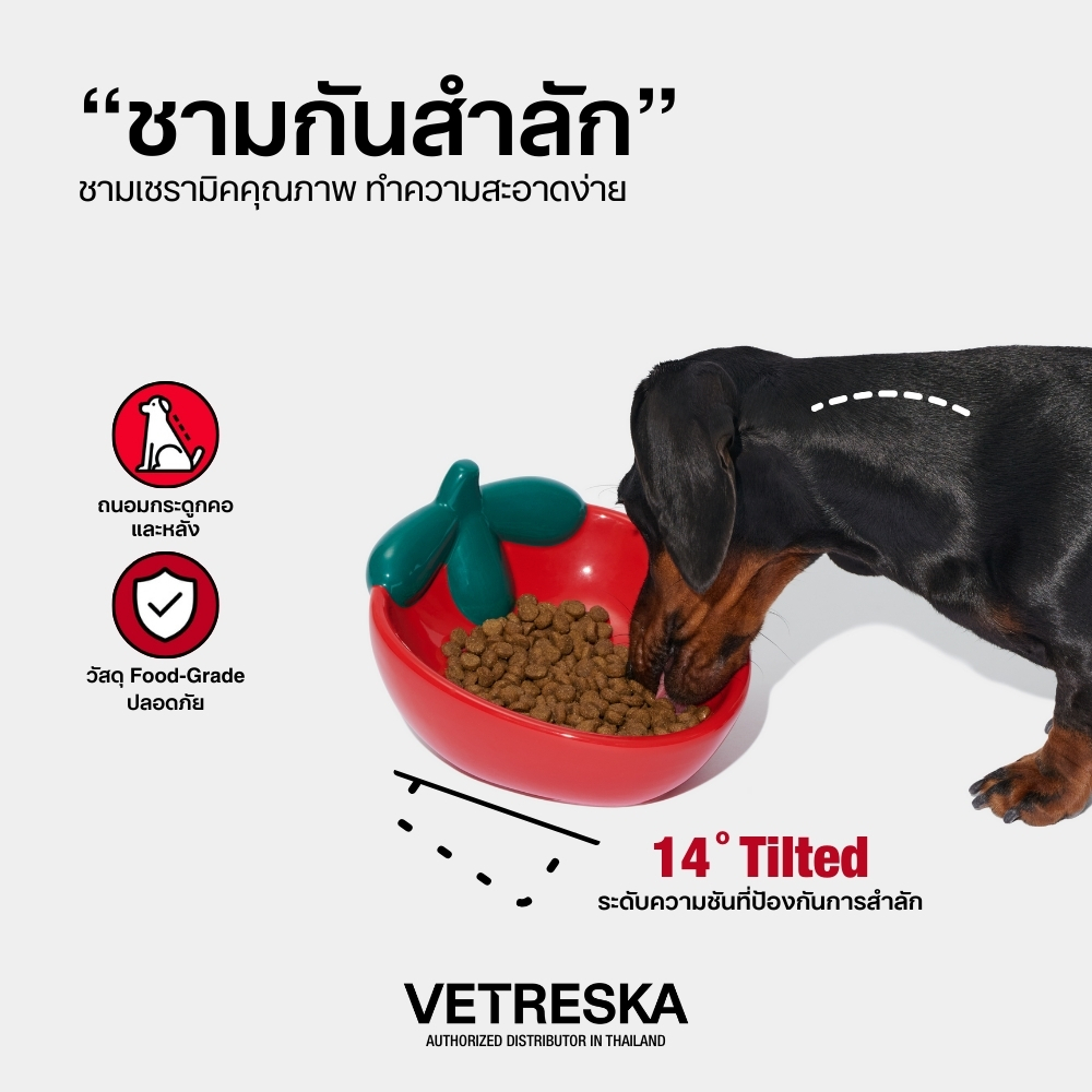 VETRESKA ชามอาหาร สำหรับสัตว์เลี้ยง สตอเบอร์รี่ Strawberry Ceramic Pet Bowl