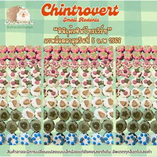 Chintrovert ✨| มินิเค้กบ้านชินโทรเวิร์ทโฮมเมด 1ชิ้น | สำหรับสัตว์ฟันแทะ แฮมเตอร์ แฟตเทล ดอร์เมาท์