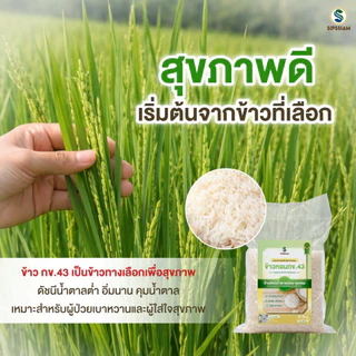 สิปส์สยาม ข้าวสารดัชนีน้ำตาลต่ำ กข 43 ขนาด 0.5 กิโลกรัม