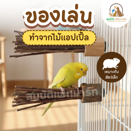 คอนไม้แอปเปิ้ลติดกรง ของเล่นสัตว์เล็ก นกแฮมสเตอร์ ชูการ์ ลับฟันได้ ธรรมชาติ 100%