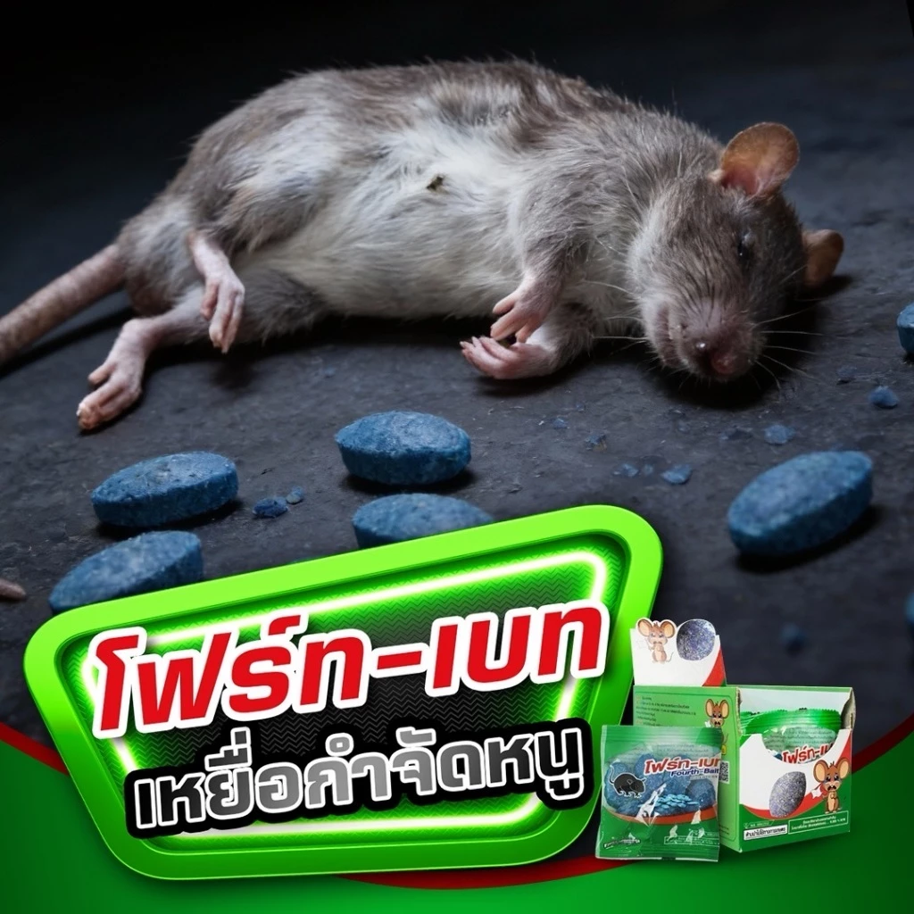 (มี อย.)โฟร์ท-เบท เหยื่อกำจัดหนู ยาเบื่อหนู ตายแห้ง กลิ่นน้อย