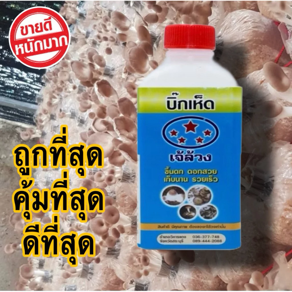 บิ๊กเห็ด เจ้ล้วง สูตรเร่งใย เร่งดอก ขึ้นดก ดอกสวย เก็บนาน รวยเร็ว ใช้ได้กับเห็ดทุกชนิด