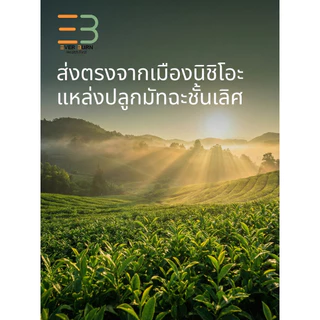 Nao Matcha นาโอะ มัทฉะแท้ 100% เกรดพรีเมียมจากนิชิโอะ ญี่ปุ่น หอมนัวโทนถั่ว ไม่ขม ไม่ฝาด 20g