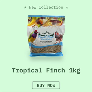 Forest Blend 1kg ธัญพืชสูตรพื้นฐาน สำหรับนกสายพันธุ์ต่างๆ