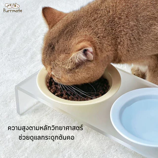 ชามอาหารแมวแบบมีฐานสูง ที่ตั้งชามอะคริลิก ชามเซรามิกสำหรับสัตว์เลี้ยง[ตัวเลือกแบบ DIY จับคู่เอง ]Stylish Raised Cat Bowl