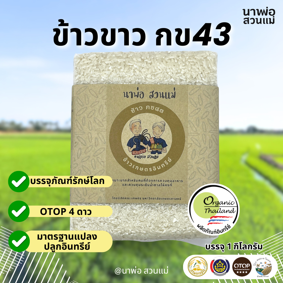 ข้าวขาว ข้าวพันธุ์กข 43 ข้าวจากทุ่งนาพ่อ สวนแม่ เกษตรกร จ.สุพรรณบุรี