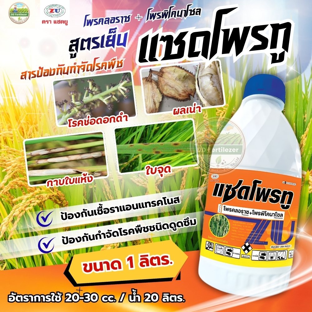 #แซดโพรทู #โพรคลอราซ+โพรพิโคนาโซล #แซดยู  ป้องกันเชื้อราแอนแทรคโนส ผลเน่า ช่อดอกดำ กาบใบแห้ง
