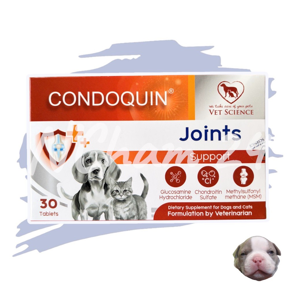 Condoquin บรรจุ 30 เม็ด  แพ็คเกจใหม่ แบบกล่อง อาหารเสริมบำรุงข้อในน้องหมาและแมว