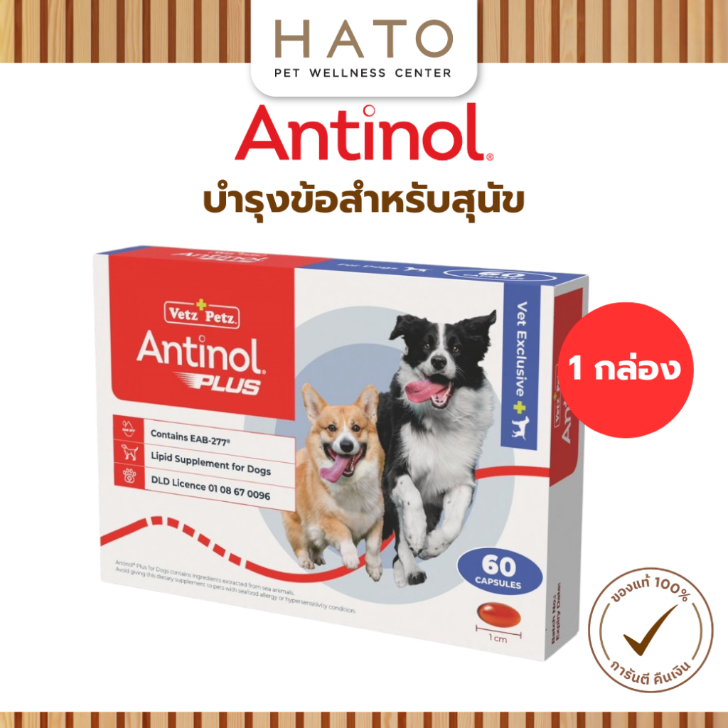 Antinol Dog แอนทินอล อาหารเสริมไขมัน บำรุงข้อ สำหรับสุนัข 1 กล่อง (60 เม็ด) Vetz Petz