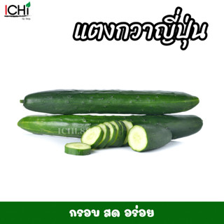 แตงกวาญี่ปุ่น สด กรอบอร่อย