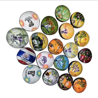 AV2กะลาเพ้นท์งานทำมือของฝากสะสม