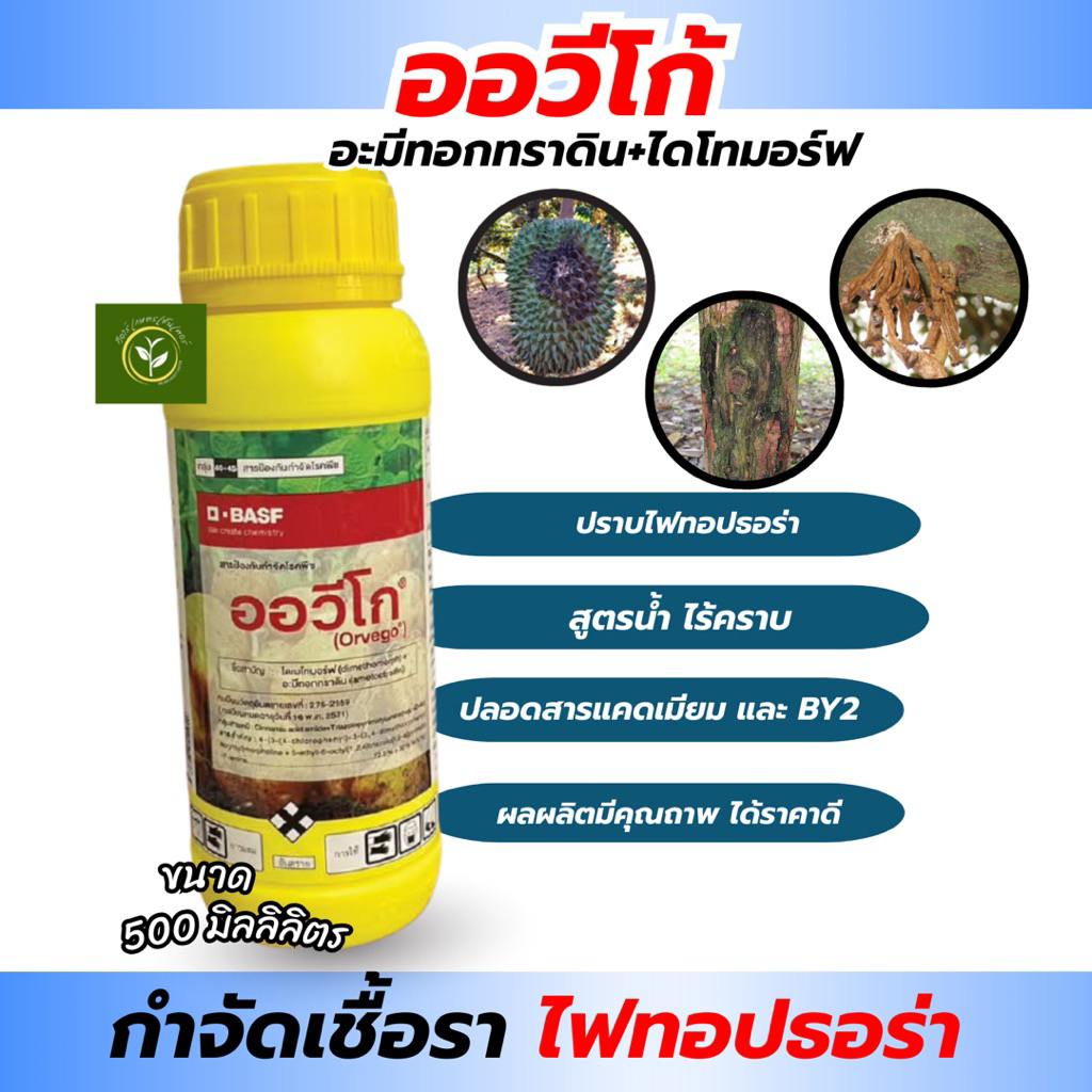 ออวีโก้  (อะมีทอกทราดิน+ไดโทมอร์ฟ) BASF ป้องกันและกำจัดเชื้อราไฟทอปธอร่า สูตรน้ำ ไร้คราบ ขนาด500มิลลิลิตร