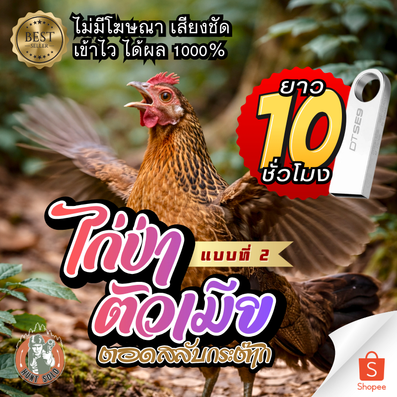 [10ชั่วโมง] เสียงไก่ป่าตัวเมียV.2 ตอดกระต๊าก ใส่แฟลชไดร์ฟ ชัดใส ไร้โฆษณา พร้อมส่ง! เก็บเงินปลายทาง