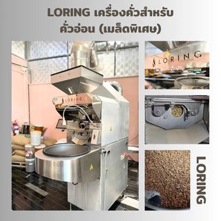 ราคาส่ง 1-3 Kg. เมล็ดกาแฟ "Milky Medium" กาแฟ mass ที่มีระดับ NEW LOT