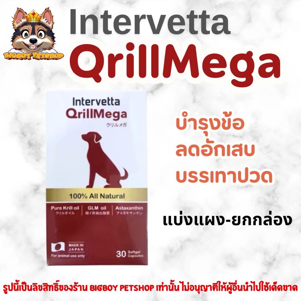 Intervetta QrillMega (คริลเมก้า) อาหารเสริมบำรุงข้อต่อ ลดอักเสบ บรรเทาปวด สำหรับสุนัขและแมว แบ่งแผง-