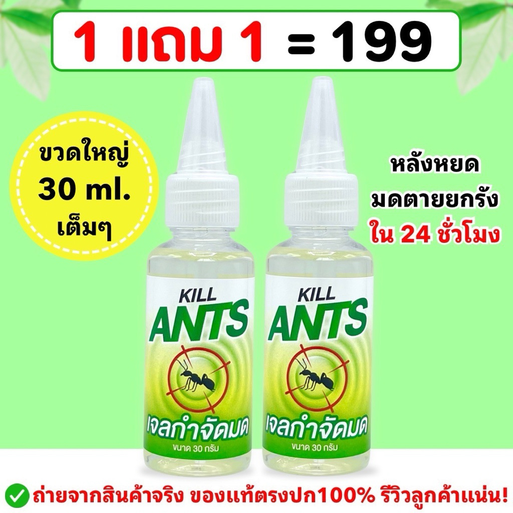 เจลกำจัดมด 30กรัม คิลแอนท์ Kill Ants