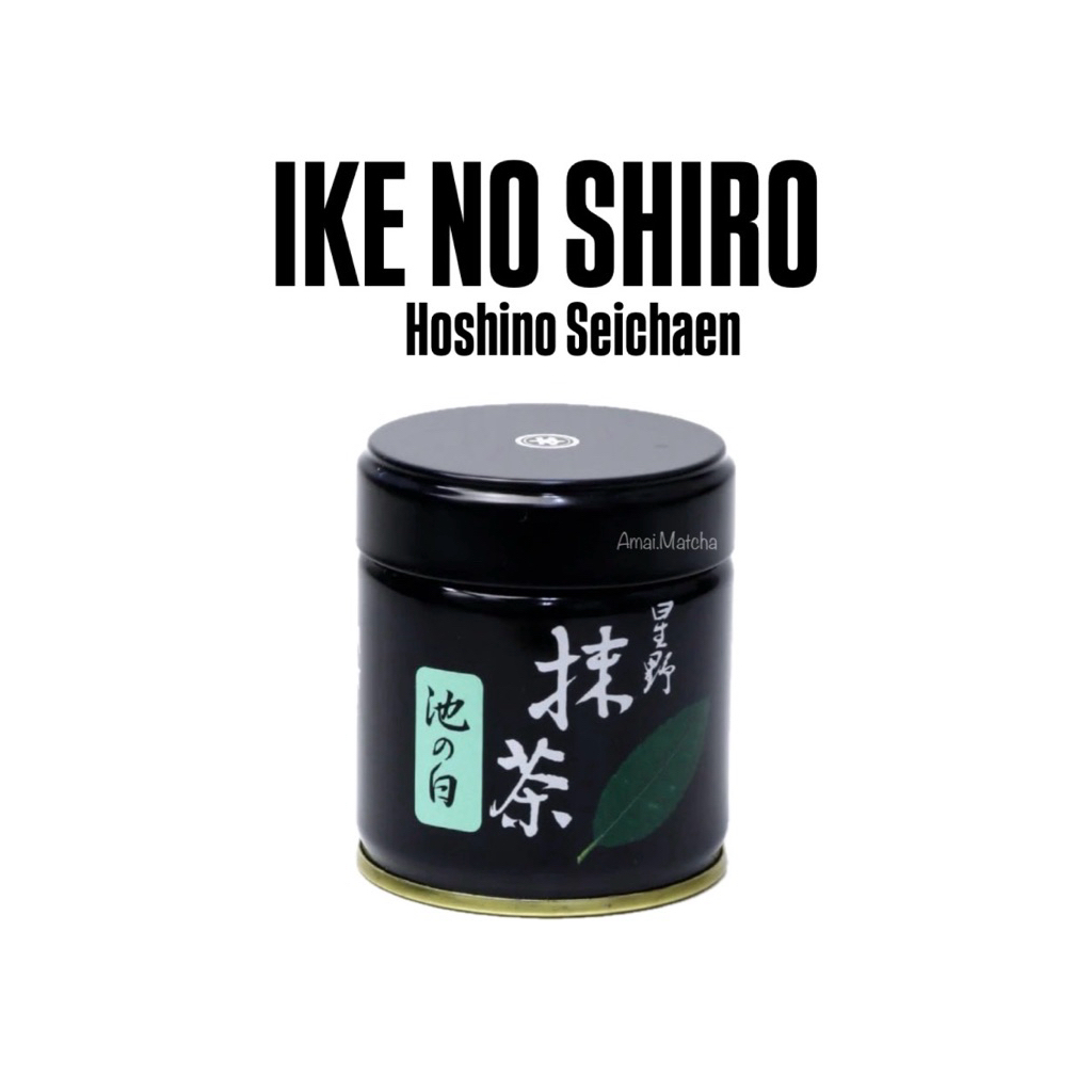 Ike no shiro Hoshino Seichaen พร้อมส่ง