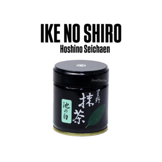 Ike no shiro Hoshino Seichaen พร้อมส่ง