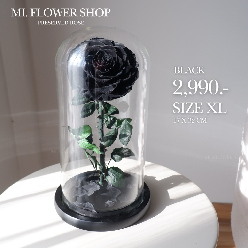 กุหลาบอมตะในโหลแก้ว 🌹 ไซส์ XL หลากสี ไอเดียของขวัญ วันวาเลนไทน์