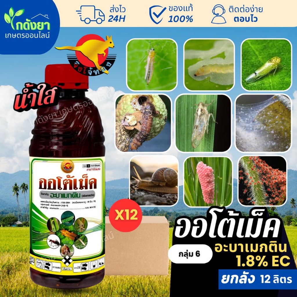 ออโต้เม็ค ยกลัง (12ลิตร) อะบาเมกติน น้ำใส สูตรเย็น กำจัดแมลง ป้องกันไรแดง