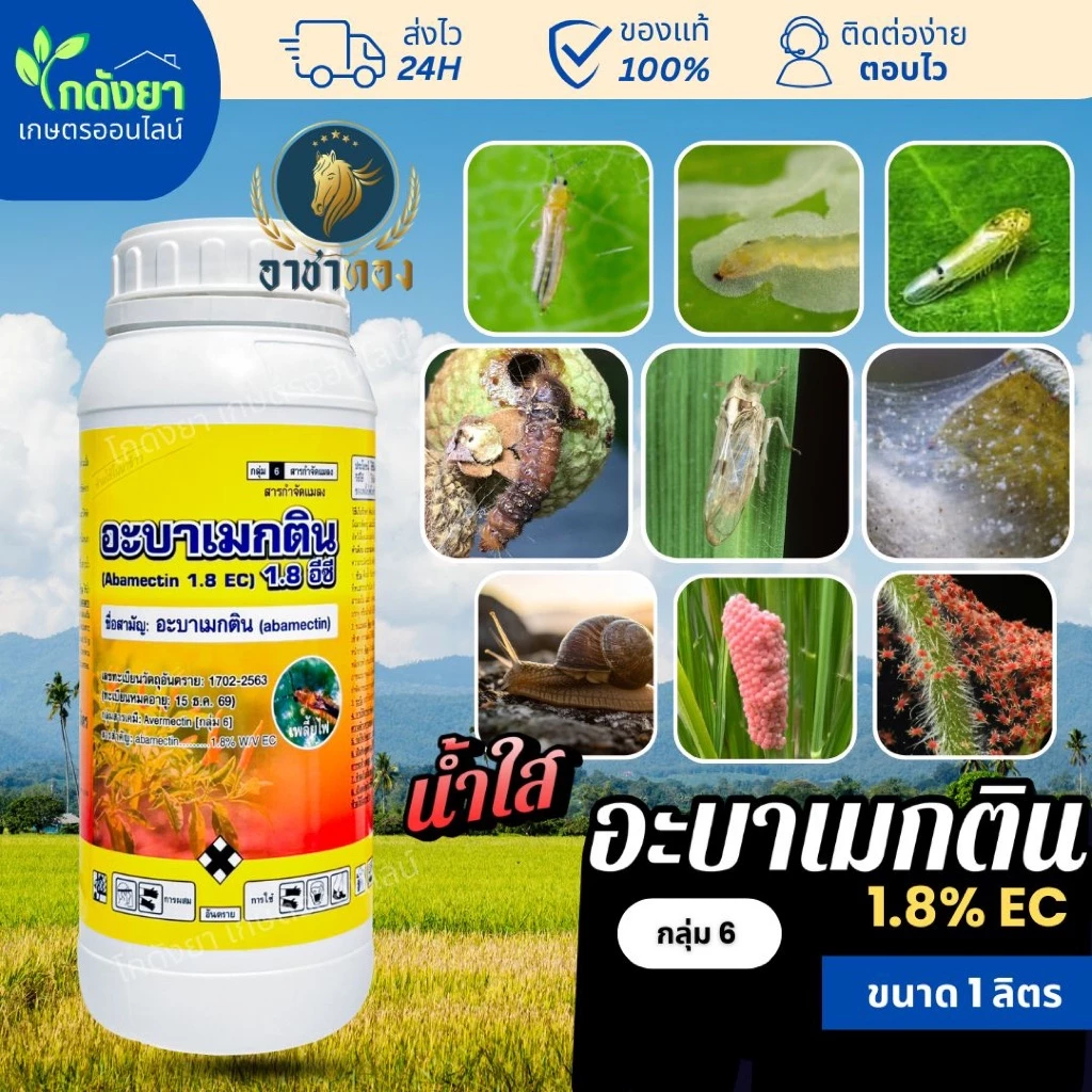 [คุณภาพสูง] อะบา อาชาทอง 1ลิตร อะบาเมกติน น้ำใส สูตรเย็น กำจัดแมลง ป้องกันไรแดง