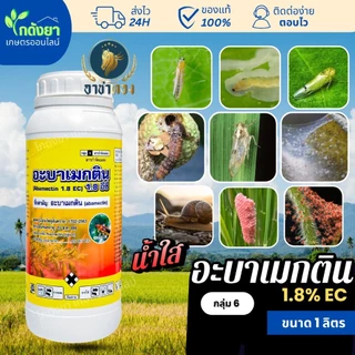 [คุณภาพสูง] อะบา อาชาทอง 1ลิตร อะบาเมกติน น้ำใส สูตรเย็น กำจัดแมลง ป้องกันไรแดง