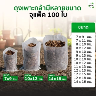 SGE ถุงเพาะกล้า วัสดุปันบอนด์ รากทะลุได้ รากไม่เน่า ย่อยสลายง่าย แพ็ค 100 ใบ มีหลายขนาดให้เลือก