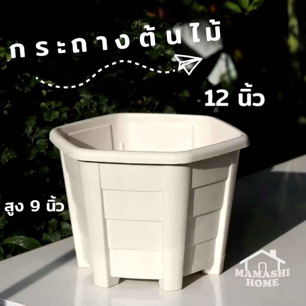 กระถางพลาสติก ขนาด 12 นิ้ว แพ็ค 5 ชิ้น 6 ชิ้น ** สั่งซื้อ1set ต่อกล่องเท่านั้น *** ทรงหกเหลี่ยม 6 เหลี่ยม สีครีม ราคา ถูกที่สุด ดีลบีเคเค แกลเลอรีภาพที่ 5
