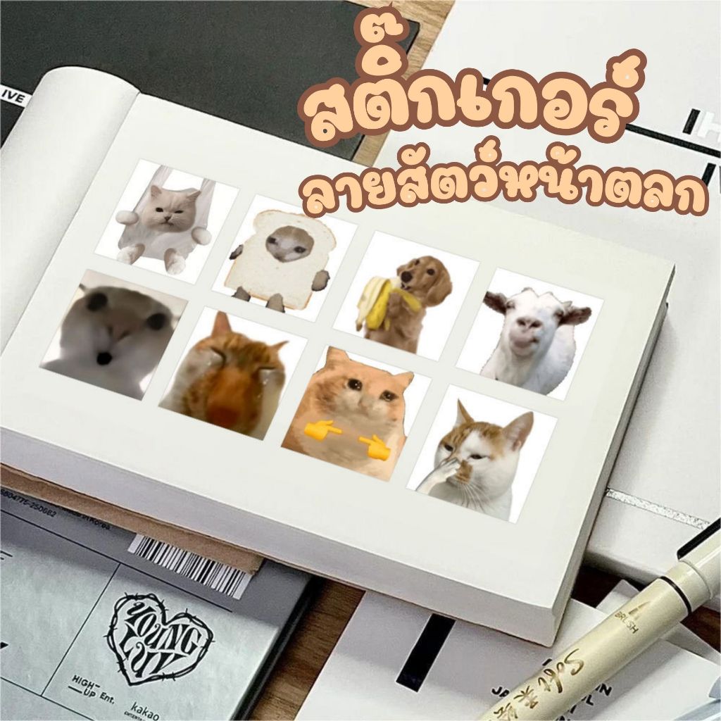 สติ๊กเกอร์ลายหน้าสัตว์ตลกๆ มีม 14 แบบ มีมสุดฮิต ลายตลก หน้ากวน ตกแต่งสมุด แปะไดอารี่ สายฮา ของขวัญ วัยรุ่น