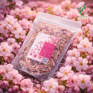 ชาดอกซากุระพรีเมี่ยม | Flower Collection | Sakura Cherry Blossom Tea ดอกเต็ม น้ำชาสีทองใส ชาดอกไม้ระดับพรีเมี่ยม