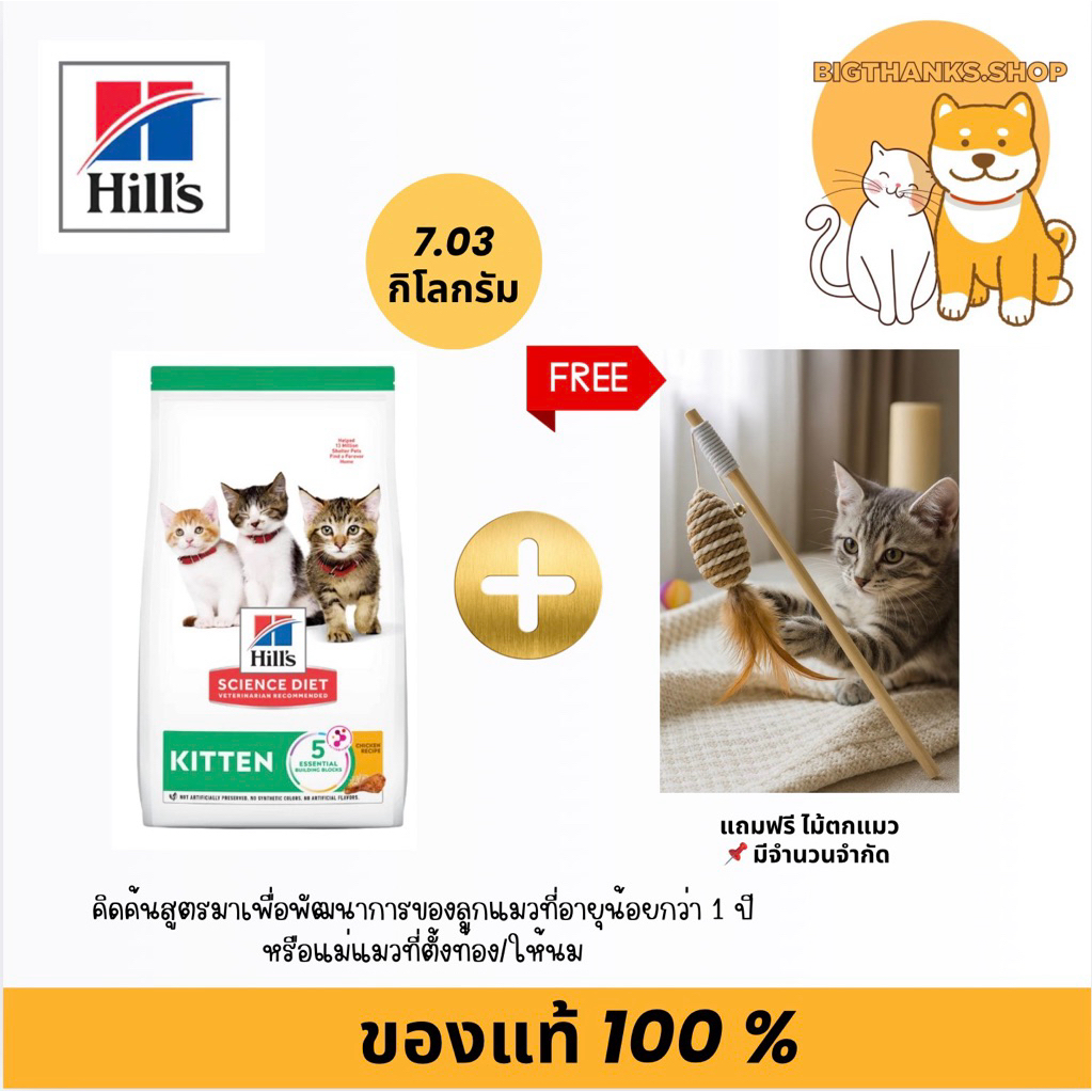 (( รับฟรี ไม้ตกแมว 1 อัน )) Hill’s Kitten ขนาด 7.04 กก. ลูกแมวอายุไม่เกิน 1 ปี และ แม่แมวตั้งท้องหรือให้นม