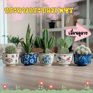 กระถางเซรามิก กระถางบอนไซ กระบองเพชรเซรามิก stock K