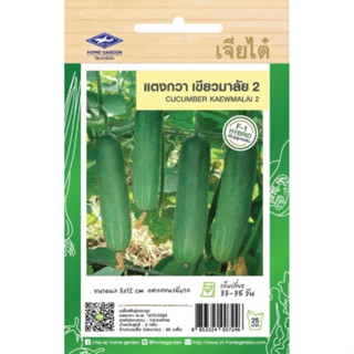 เมล็ดพันธุ์ผัก ผักซอง เจียไต๋ แตงกวา เขียวมาลัย 2