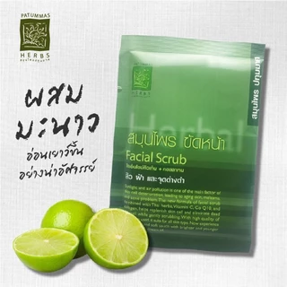 Patummas Herbs สมุนไพร ปทุมมาศ ขัดหน้า /20138